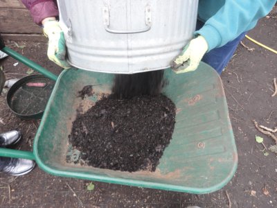 fine compost is being poured from a metal bin into a wheelbarrow