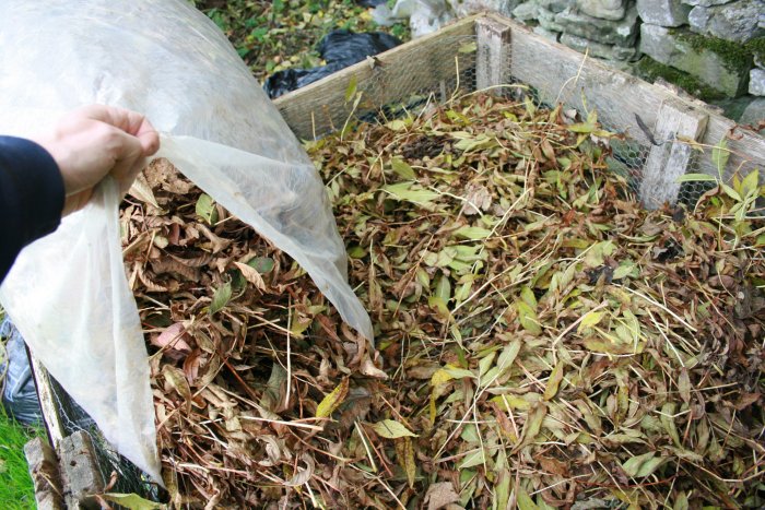 A person tips a bag of leaves into a pile of leaves to make leafmould