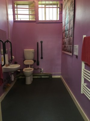 a spacious accessible toilet with dark blue hand rails, and pinkish-purpley walls. There is a large artwork on the wall adjacent to the toilet